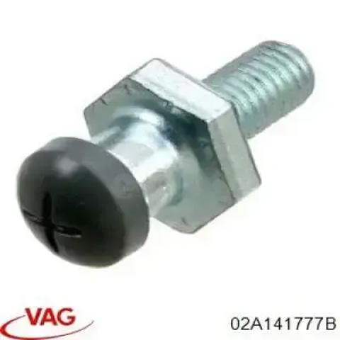 Вісь вилки зчеплення 02A141777B VAG