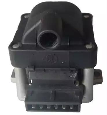 Котушка 060717077012 MAGNETI MARELLI