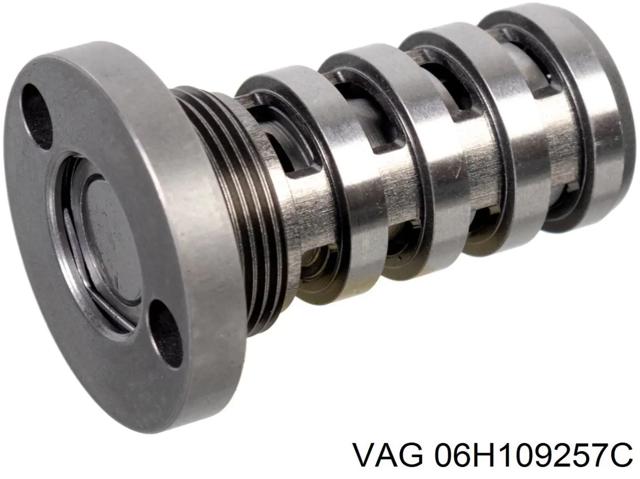 Гідравлічний болт фаз газорозподілу 06H109257C VAG