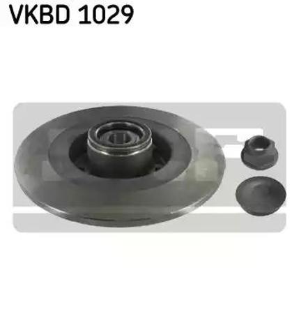 Задні дискові гальма VKBD1029 SKF