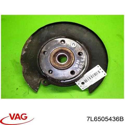Цапфа поворотного кулака 7L6505436B VAG