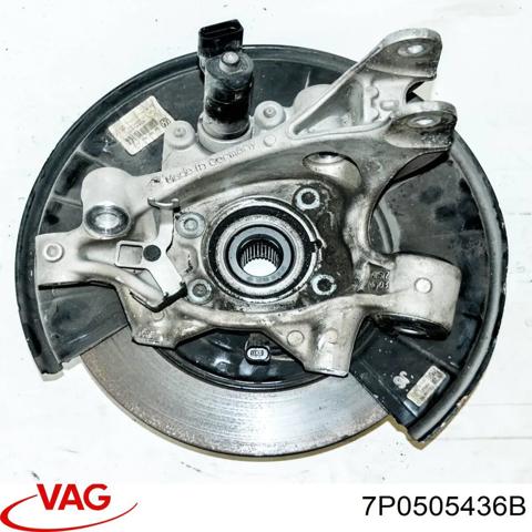 Цапфа - поворотний кулак задній, правий 7P0505436B VAG