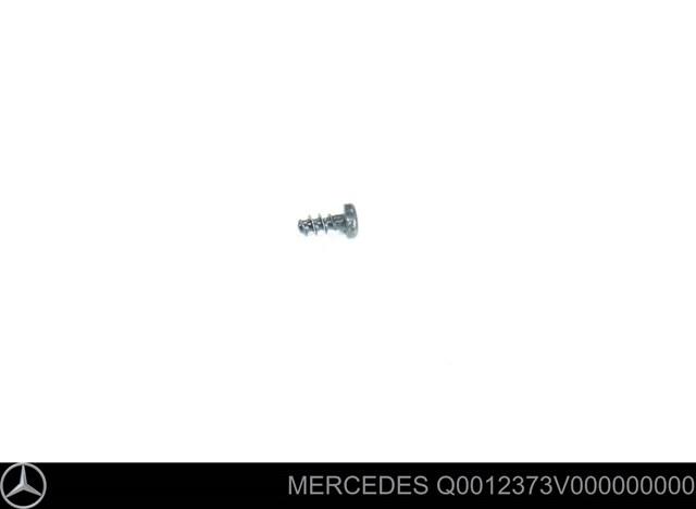 Q0012373V000000000 Mercedes