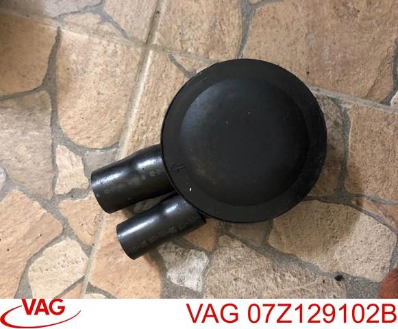 Масловіддільник 07Z129102B VAG