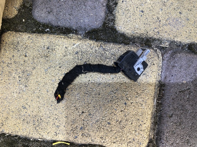 Болт піддона 8364646 BMW