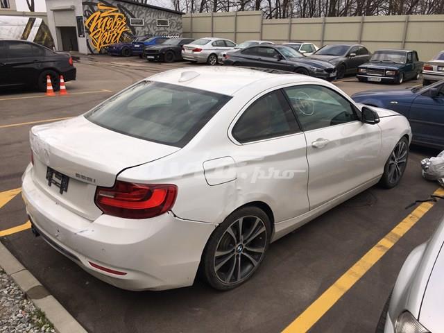 Пасажирські передні двері 41517381288 BMW