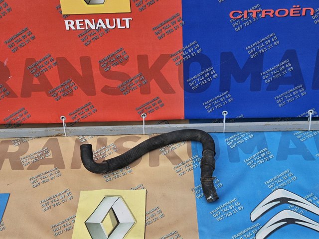 Шланг/патрубок радіатора охолодження, нижній 8200126265 RENAULT