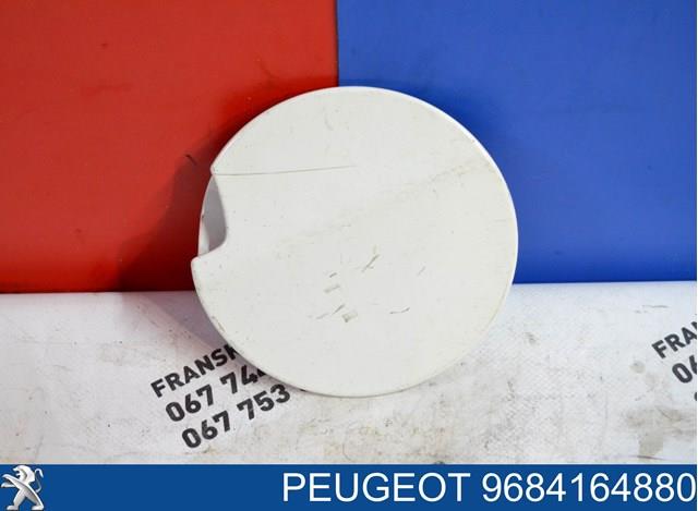 9684164880 Peugeot/Citroen