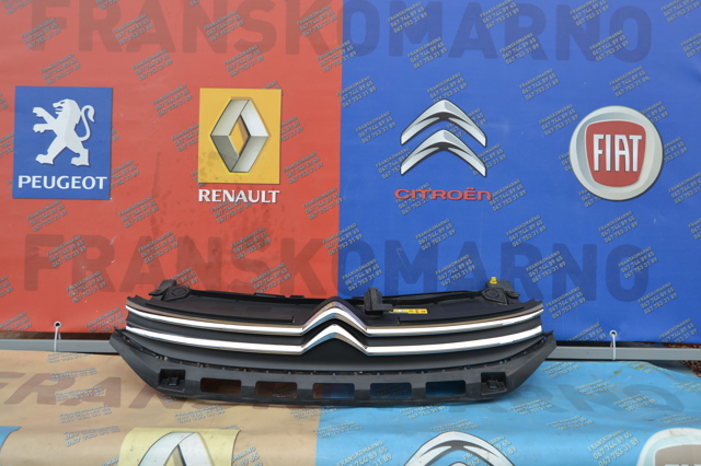 Захисна решітка радіатора 9812063477 PEUGEOT
