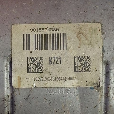 Перетворювач відпрацьованих газів 9815574580 PEUGEOT