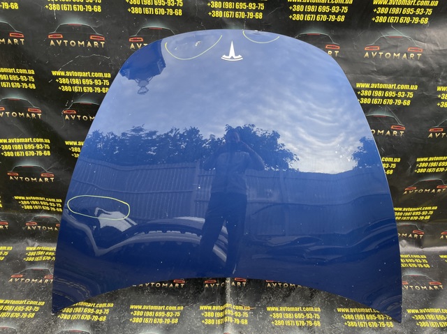 Капот 1081390E0C Tesla Model