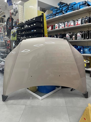 Капот 0160107280 TEMPEST