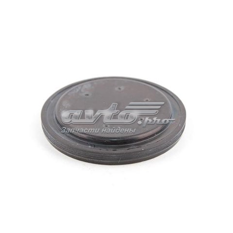 Заглушка задньої кришки КПП 015409289AA CHERY