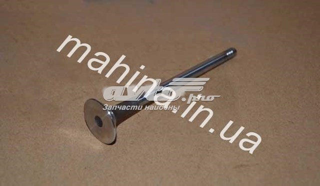 Випускний клапан двигуна 473H1007012BA CHERY