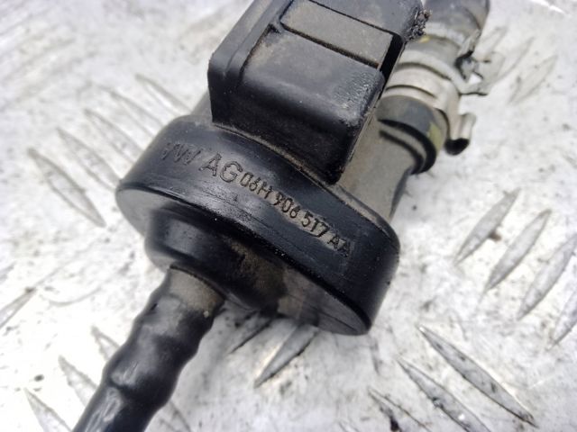Клапан вентиляції газів паливного бака 06H906517AA VAG