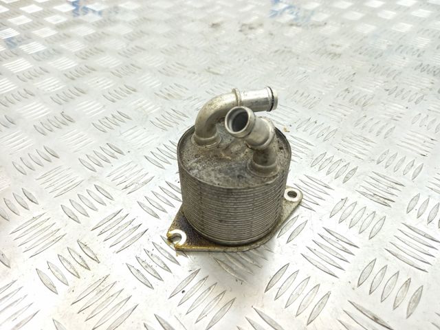 Радіатор охолодження, АКПП 09S409061B VAG