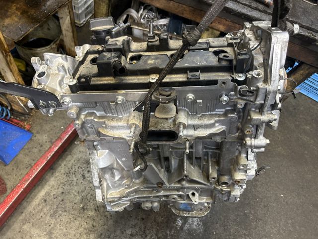 Двигун у зборі 101025NAHA NISSAN