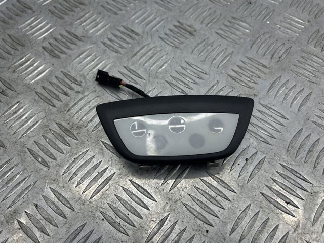 Плафон освітлення кабіни 105997200C TESLA