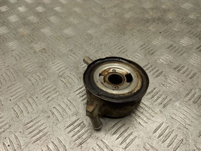 Радіатор масляний 213059N00A NISSAN