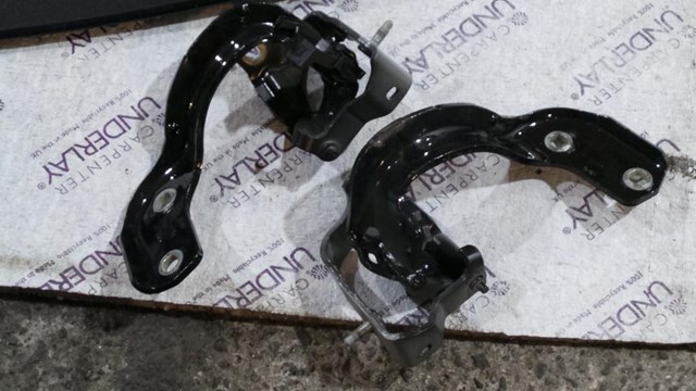 Завіса задніх дверей, ляди 4G9827299 VAG