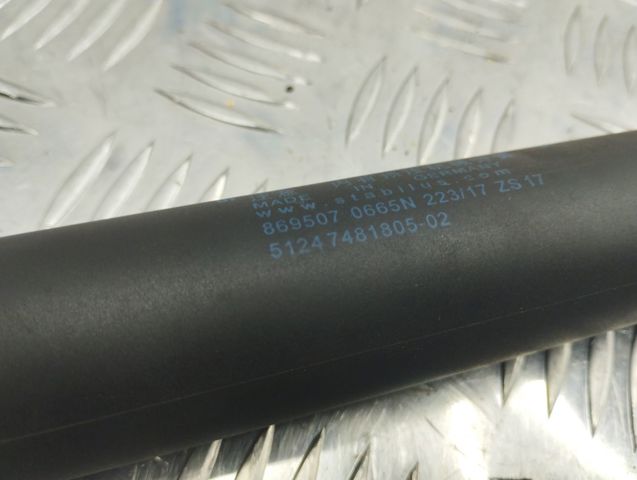 Амортизатор багажника правий 51217481805 BMW