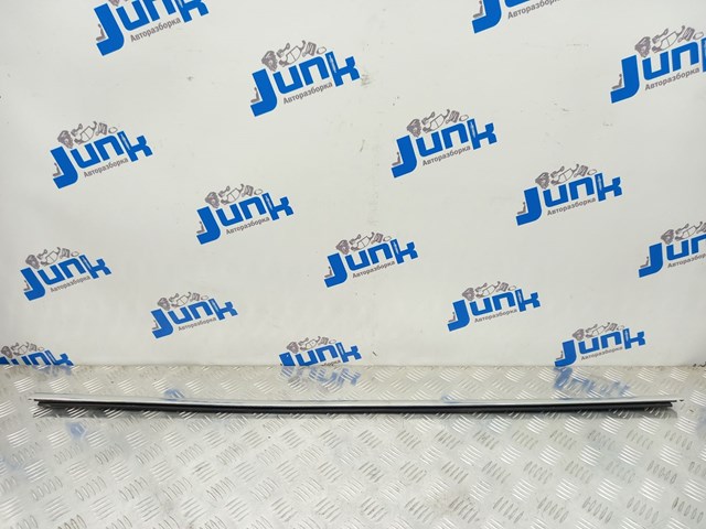 Молдинг опускного скла двері задньої, лівої 51227289645 BMW