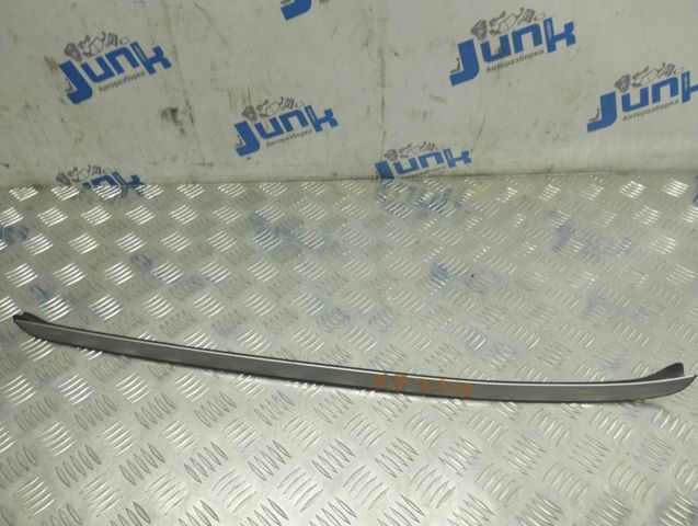Захисна накладка переднього скла права 51317250396 BMW