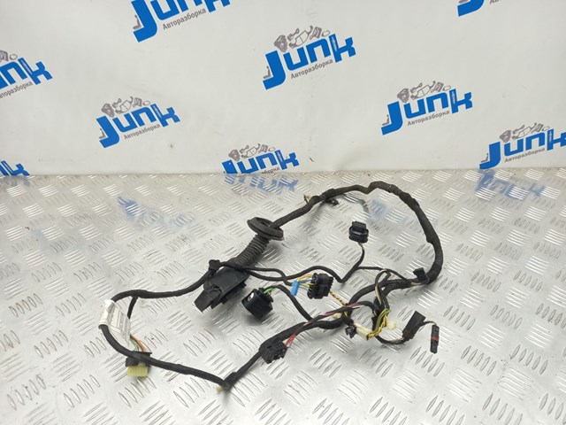 Джгут проводів задніх дверей 61129323481 BMW