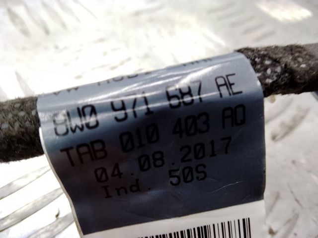 Джгут проводів задніх дверей 8W0971687AE VAG