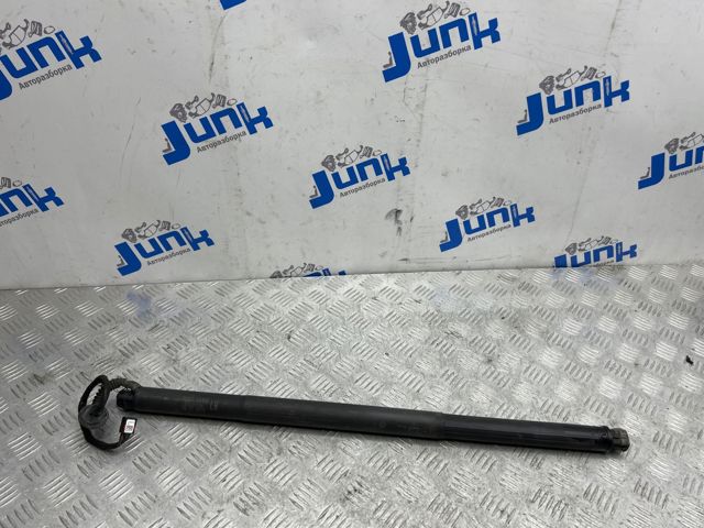 Амортизатор ляди 905615AA0A NISSAN