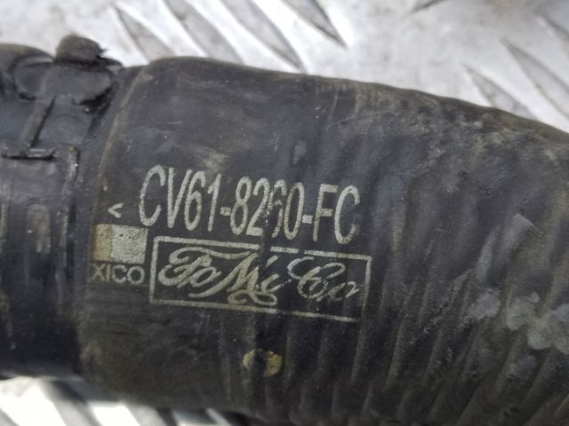 Шланг/патрубок радіатора охолодження, нижній CV618260FC FORD