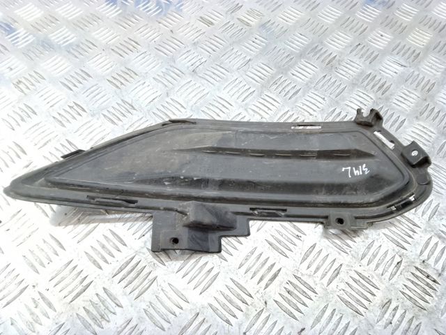 Заглушка під протитуманні фари, ліва DS7Z17B814AB FORD