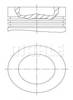Поршень в зборі 0039700 MAHLE