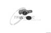 Натягувач приводного ременя 0219125 TRUCKTEC