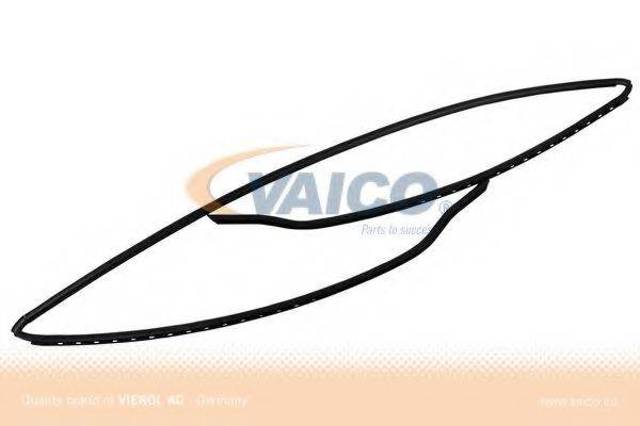 Рама лобового скла 51318159784 BMW