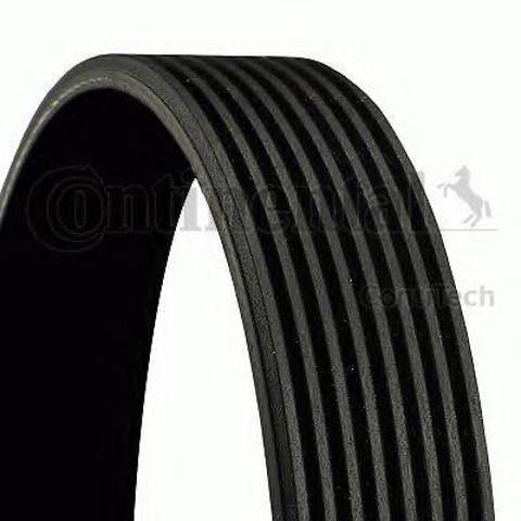 Ремінь генератора 8PK1625 CONTINENTAL