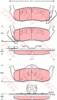 Колодки гальмівні задні, дискові GDB4137 TRW