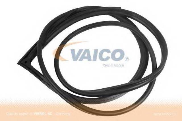 Ущільнювач двері передньої лівої (на двері) V301568 VAICO