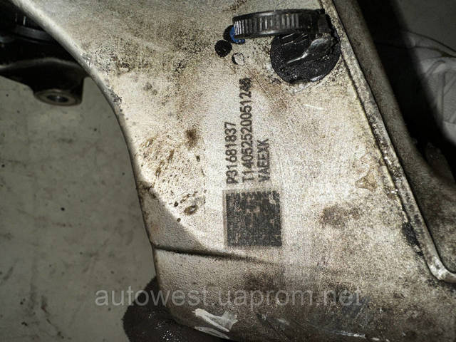 Цапфа поворотного кулака 31681837 VOLVO
