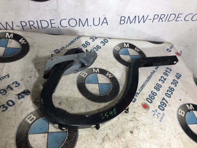 Деталі багажника (петлі і упор кришки) 41007420784 BMW