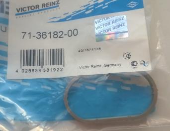 Прокладка впускного колектора 713618200 VICTOR REINZ
