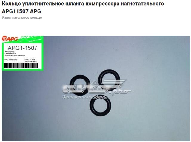 Кільце ущільнювача шланга компресора, нагнітального N90666003 VAG