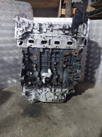 Двигун у зборі 8201654865 RENAULT