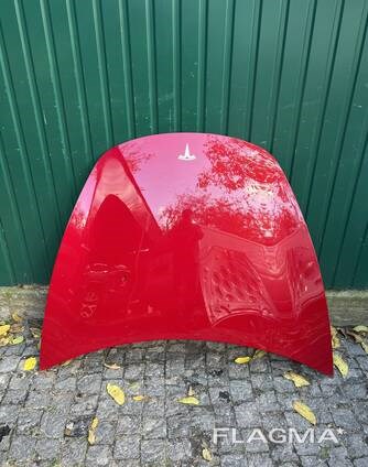 Капот 1081390E0C TESLA
