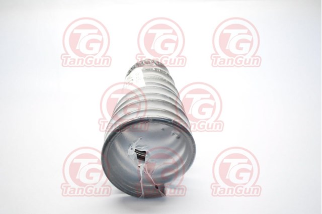 Пружина підвіски задня S25008 TANGUN