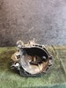 Коробка механіка в зборі 20DP48 PEUGEOT