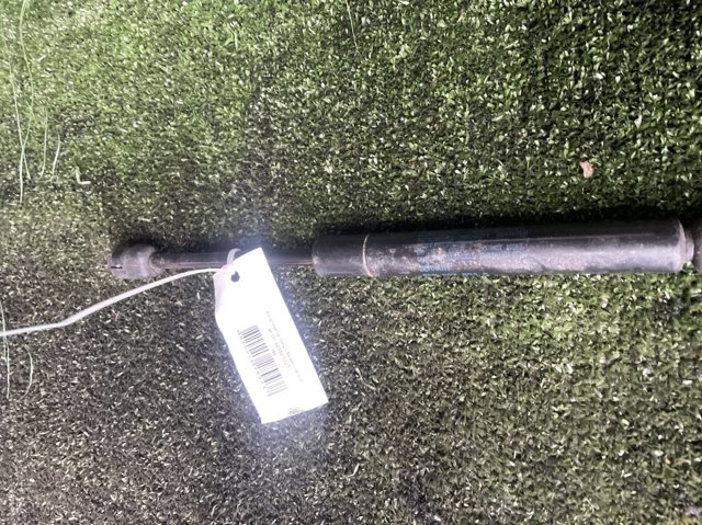 Амортизатор двері задньої 8D5827552C VAG