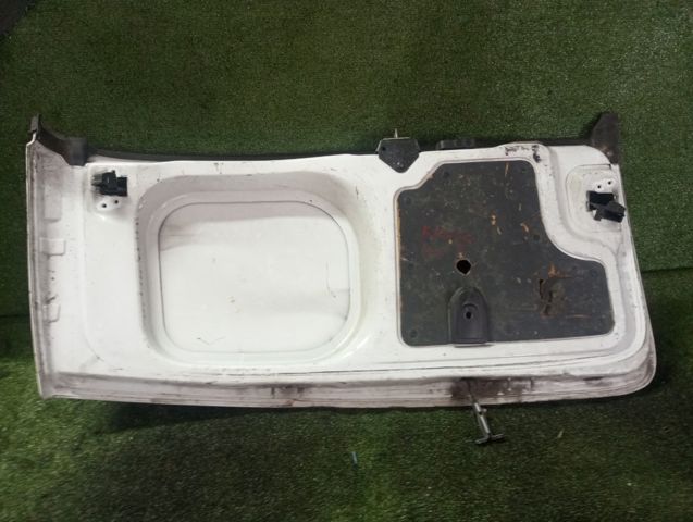 Двері фургона задні, розпашні, праві 901005956R RENAULT