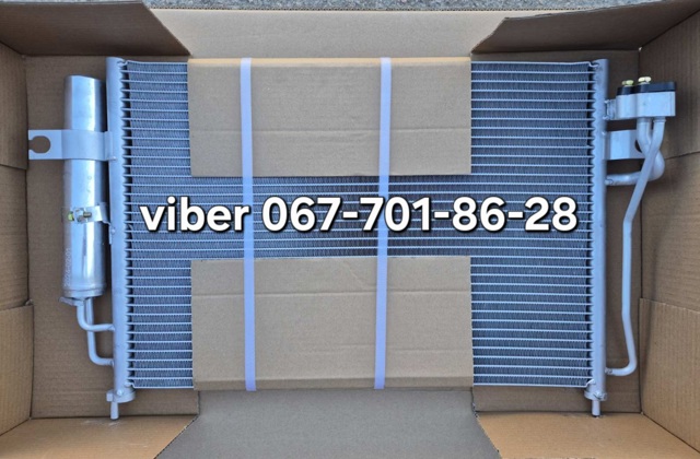 Конденсатор 976061C100 HCC