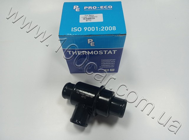 Термостат в зборі 10040001 PRO-ECO